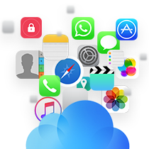 iOS data icons